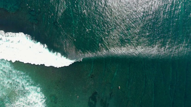 海浪和冲浪者的鸟瞰图。冲浪和海浪。前视图。视频素材