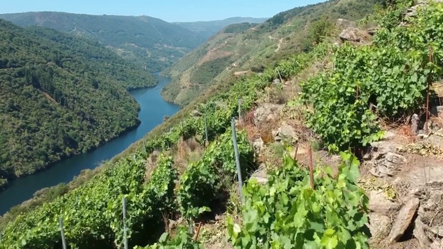 无人机拍摄的Sil River和Ribeira Sacra(西班牙)视频素材