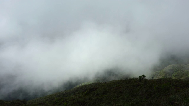 夏威夷绿色热带山谷上空云层的时间流逝视频素材