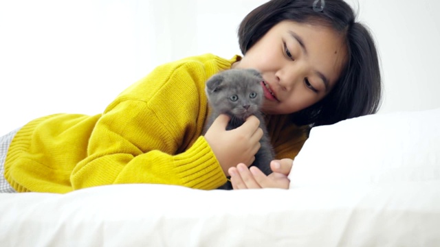 可爱的亚洲女孩玩可爱的小猫的特写，漂亮的女孩抱着一只猫近室内视频素材