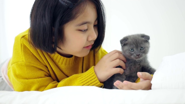 可爱的亚洲女孩玩可爱的小猫的特写，漂亮的女孩抱着一只猫近室内视频素材