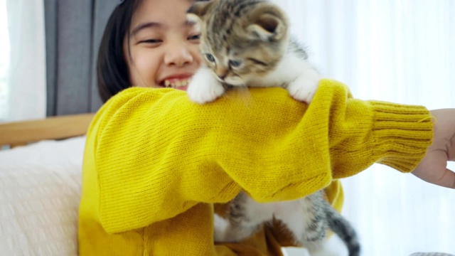 可爱的亚洲女孩玩可爱的小猫的特写，漂亮的女孩抱着一只猫近室内视频素材