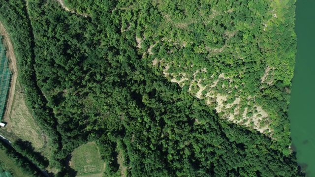 河流和森林视频素材