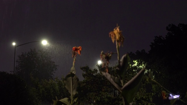 夜间暴雨和闪电视频素材