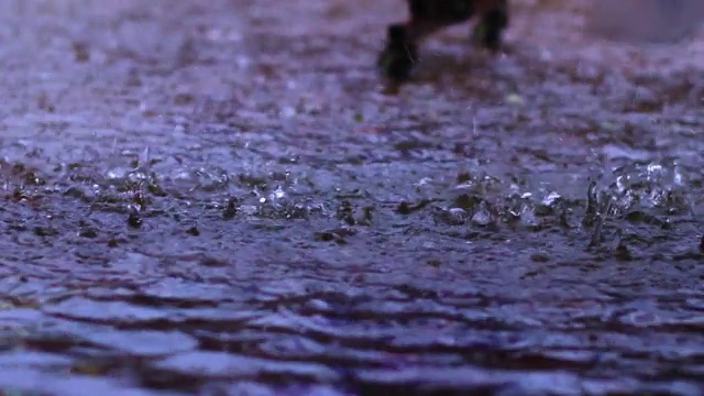 热带城市的大雨。视频素材