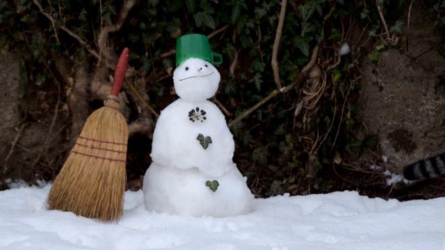 虎斑猫和雪人视频素材