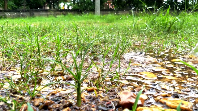 雨水滴落在草地和碎石上的大水坑里视频素材