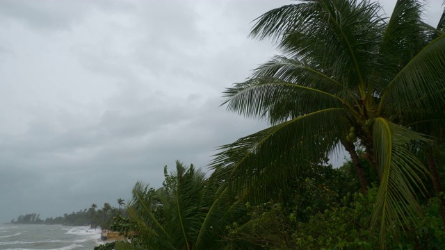 苏梅岛风暴雨天海岸线全景4k泰国视频素材