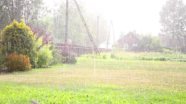 晴天下雨。绿草视频素材