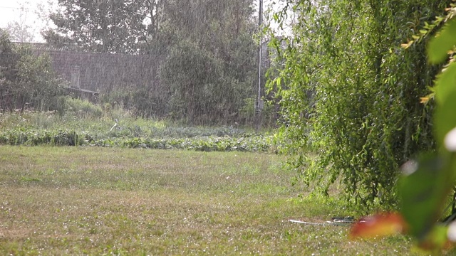 在一个晴朗的日子里有下雨的记录。背景是蔬菜园视频素材