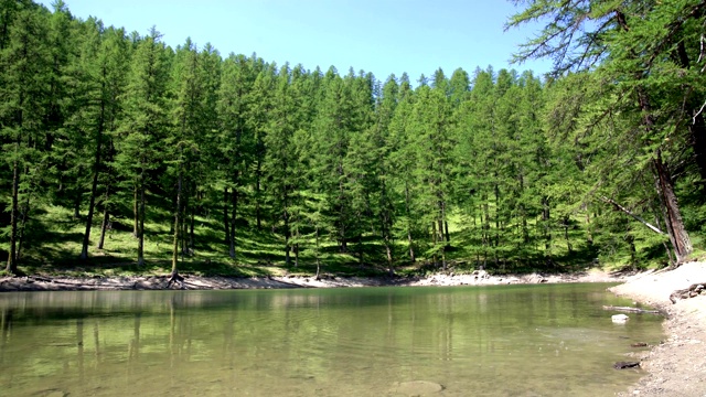 森林中的湖泊-森林中的宁静湖泊，徒步旅行的目的地- 4K视频下载