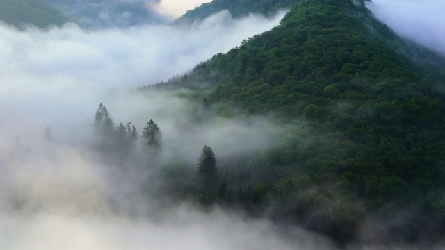 雾视频素材