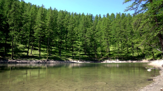 森林中的湖泊-森林中的宁静湖泊，徒步旅行的目的地- 4K视频素材