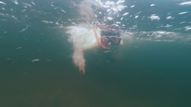 一个9岁的小男孩夏天在湖里跳水。视频素材