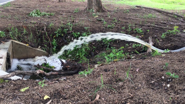 把水从公园的池塘里抽出来视频素材