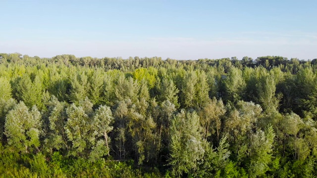 夏天的风景有河流和蓝天。美丽的溢出在河谷。密西西比州的景观视频素材