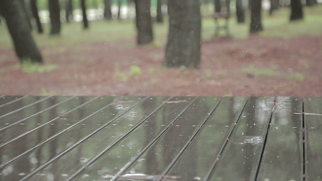 雨落在松林的树桌上视频素材