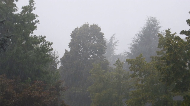 狂风暴雨视频素材