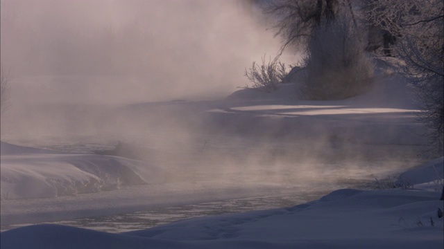 在黄石国家公园，蒸汽漂浮在一条积雪的地热河上。视频素材