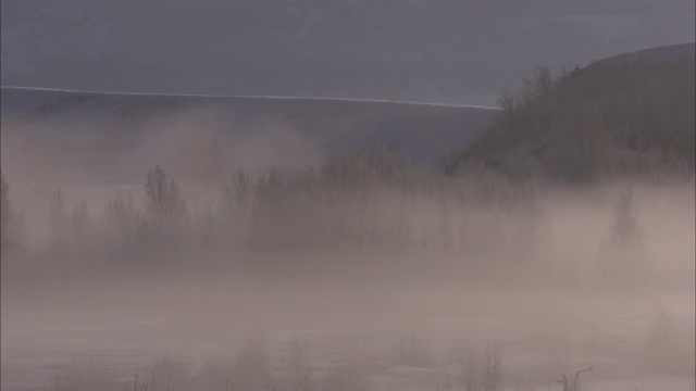 地热蒸汽在白雪覆盖的黄石国家公园上空盘旋。视频素材