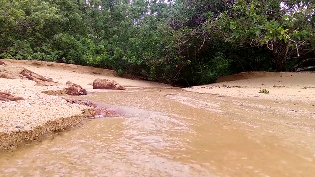 淡水从森林流向大海，普吉岛-泰国视频下载