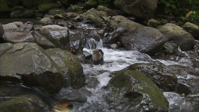 河水漫过巨石。视频素材