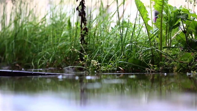 小雨打在沥青视频素材