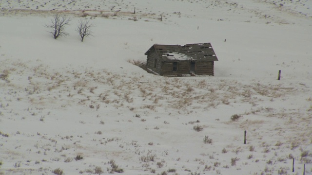 白雪覆盖着小屋周围的平原。视频素材