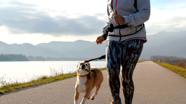 一名年轻女子和她的小猎犬在水库附近慢跑的4K镜头。狗被拴着。视频素材