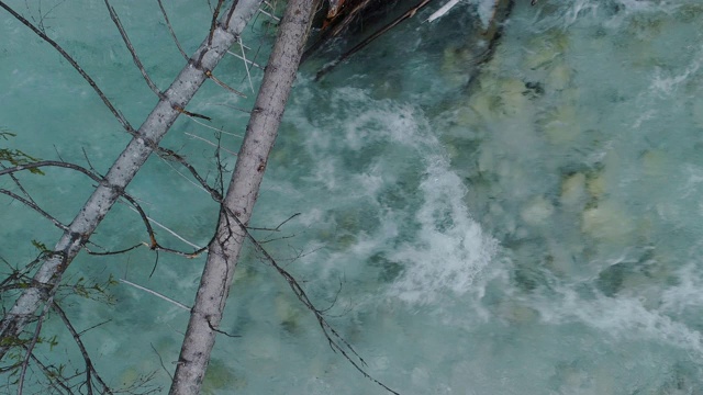 流动的河水和树干从正上方视频素材