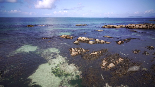 苏格兰爱奥纳海岸的海藻视频素材