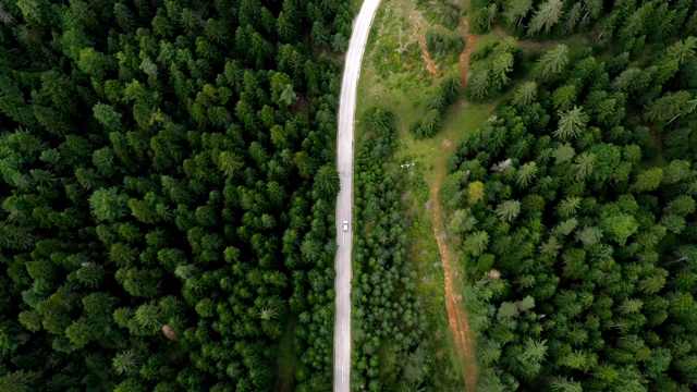 穿越森林的公路旅行视频素材