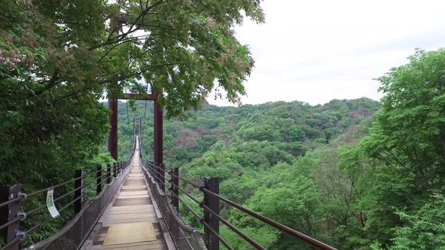 Hoshi no Buranko,Hoshida park报道视频素材