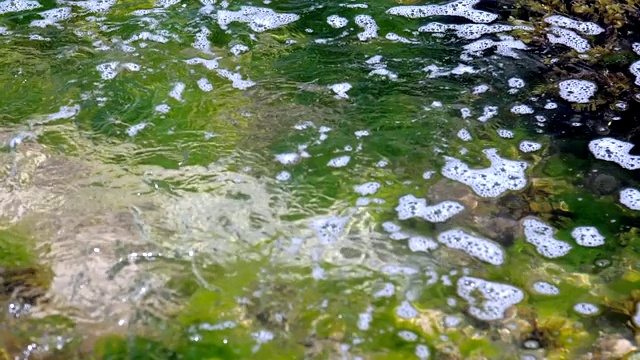 透明的海浪在绿色模糊的海藻上泡沫视频素材