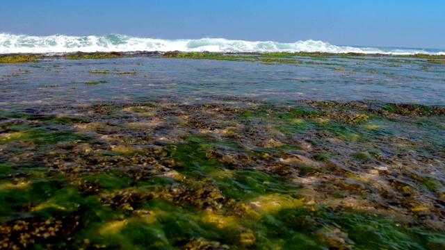 汹涌的海浪拍打着珊瑚礁的海岸线视频素材