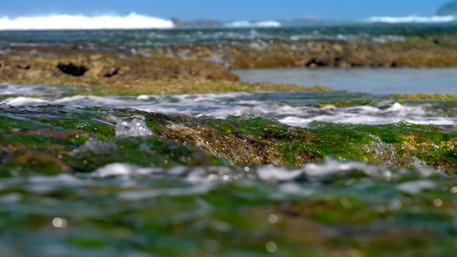 海水流过带着绿色海藻的棕色岩石视频素材