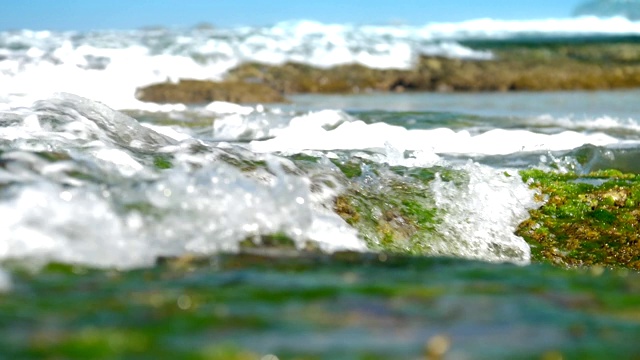 海浪缓慢地冲刷着棕色岩石上的绿色海藻视频素材