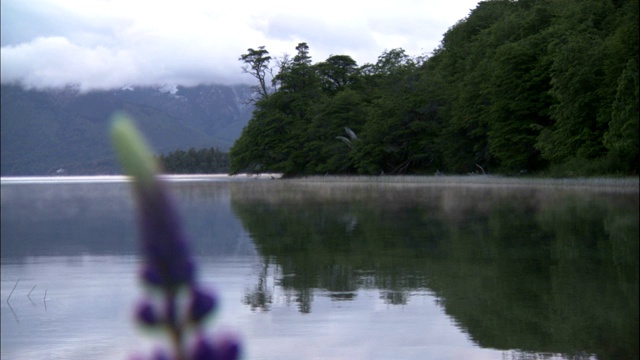 山坡倒映在巴塔哥尼亚的湖水中。视频素材