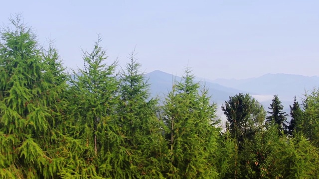 奥地利阿尔卑斯山的山林和山谷视频素材