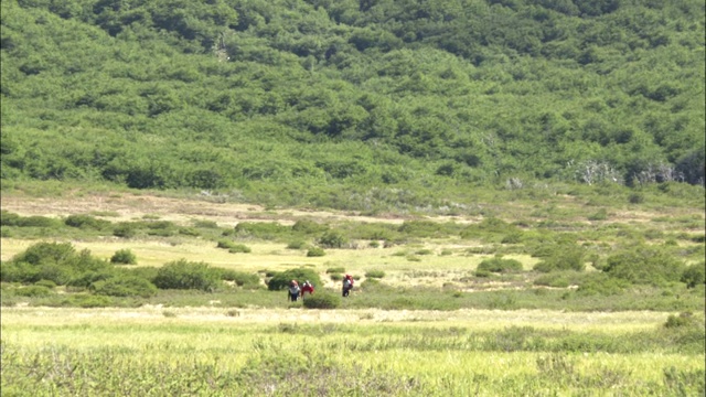 徒步旅行者穿过绿树成荫的山脚下附近的山谷。视频素材