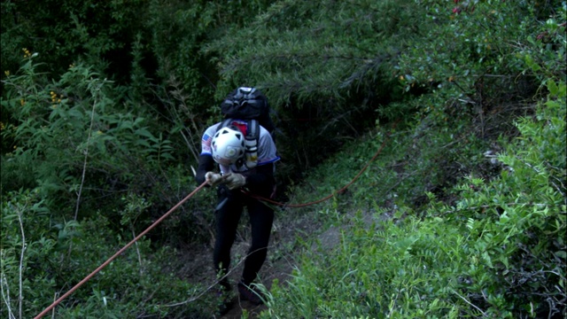 登山者用绳子从长满竹子的悬崖上爬下来。视频素材