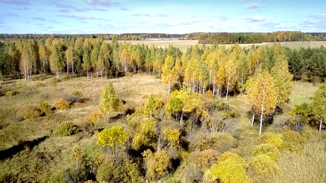 上面的观点老木材与空地对抗的田野在白天视频素材