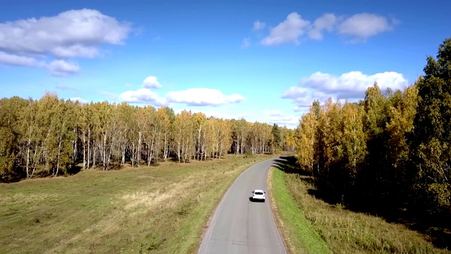 空中汽车沿着蜿蜒穿过白桦林的道路行驶视频素材