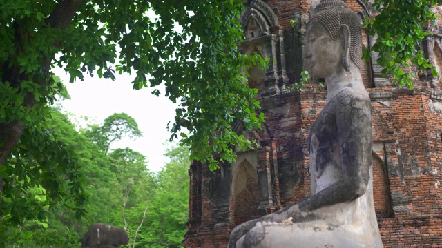 在大城府历史公园中，有古老的佛像、寺庙、树木。泰国大城府，Wat phra mahathat。多莉拍摄幻灯片视频素材