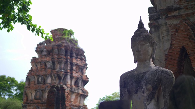 在大城府历史公园中，有古老的佛像、寺庙、树木。泰国大城府，Wat phra mahathat。多莉拍摄幻灯片视频素材