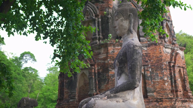 在大城府历史公园中，有古老的佛像、寺庙、树木。泰国大城府，Wat phra mahathat视频素材