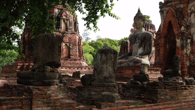 在大城府历史公园中，有古老的佛像、寺庙、树木。泰国大城府，Wat phra mahathat。多莉拍摄幻灯片视频素材