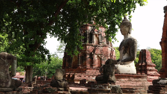 在大城府历史公园中，有古老的佛像、寺庙、树木。泰国大城府，Wat phra mahathat。多莉拍摄幻灯片视频素材