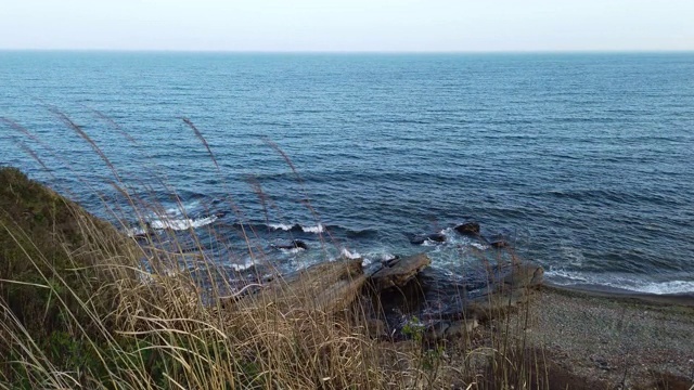 日本海的海岸线。俄罗斯符拉迪沃斯托克。视频素材