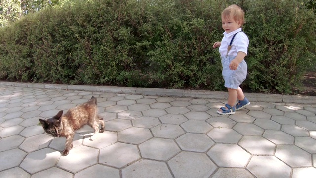 男孩在和一只猫玩视频素材